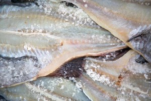 Salt Fish