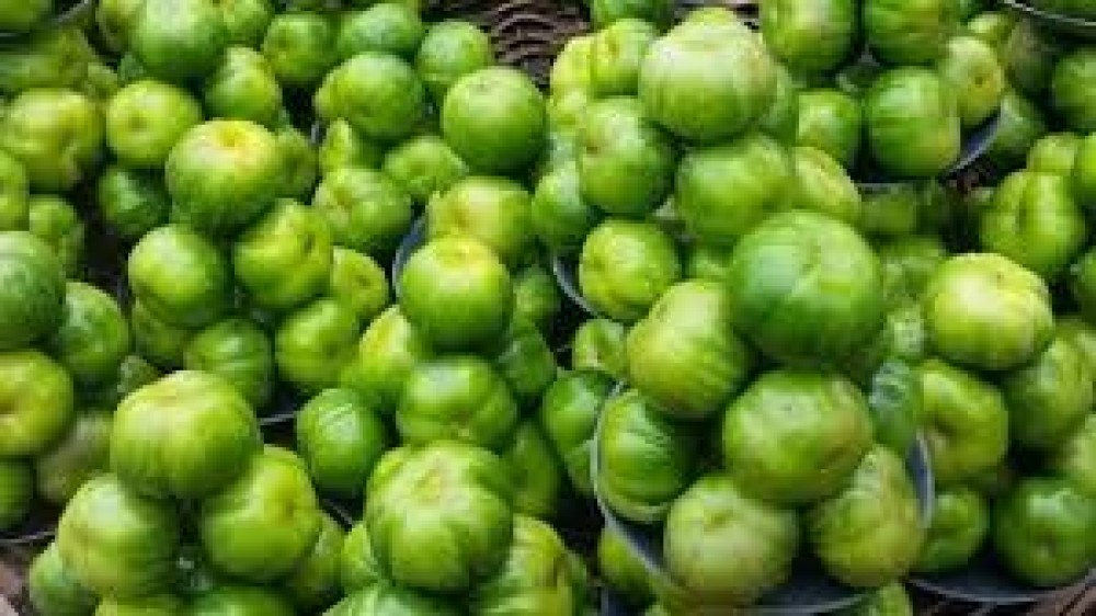 Garden Eggs
